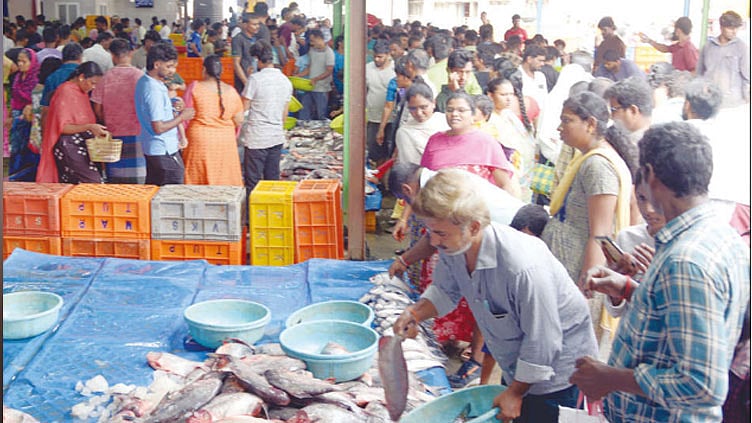 திருப்பூர் மார்க்கெட்டில் மீன் விலை சரிவு: அசைவ பிரியர்கள் குவிந்தனர்
