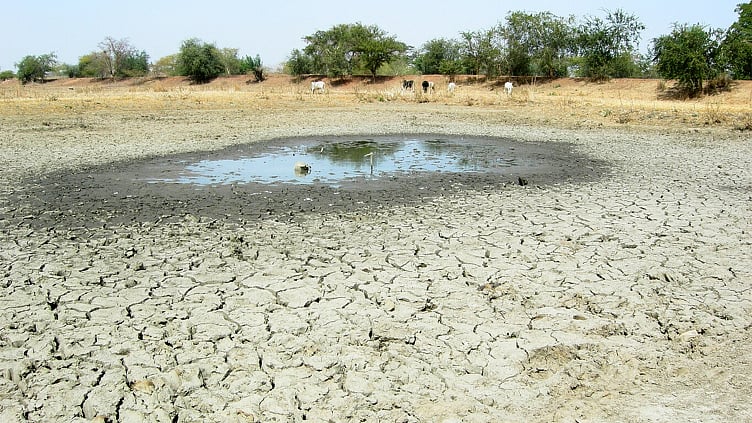 தமிழகத்தில் வறண்ட 3,488 ஏரிகள் - நீர்வளத்துறை தகவல்