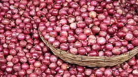 விலை உயர்வை கட்டுப்படுத்த 840 டன் வெங்காயம் சென்னைக்கு வருகை..!