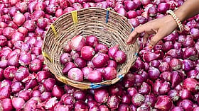 தமிழகம் முழுவதும் ரேஷன் கடைகளில் வெங்காயம் விற்பனை