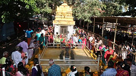 ஆவணி 2-வது ஞாயிற்றுக்கிழமை: நாகராஜா கோவிலில் அலைமோதிய பக்தர்கள்