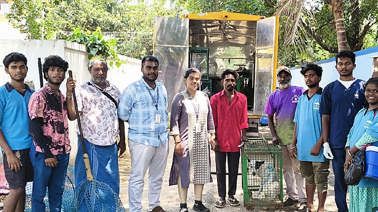 சென்னையில் 60,000 தெருநாய்களுக்கு ரேபிஸ் தடுப்பூசி: மாநகராட்சி தகவல்
