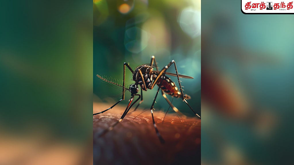 டெங்கு காய்ச்சல் – கவனிக்க வேண்டிய 8 முக்கிய அறிகுறிகள்