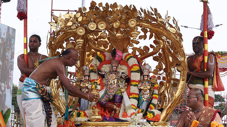 திருப்பதி பிரம்மோற்சவ விழா: கல்ப விருட்ச வாகனத்தில் மலையப்ப சாமி வீதி உலா