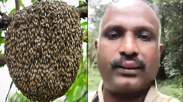 பத்தனம்திட்டா அருகே ஓடும் பஸ்சில் காட்டு தேனீக்கள் கொட்டி 17 பேர் காயம்