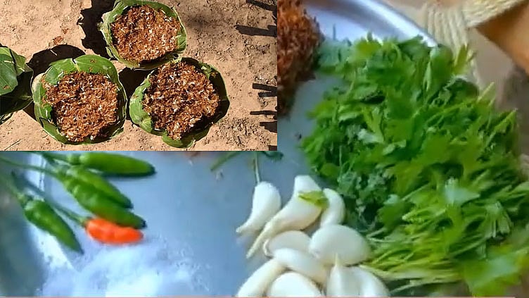 ஒடிசாவில் பொதுமக்கள் மத்தியில் பிரபலமாகும் சிவப்பு எறும்பு சட்னி