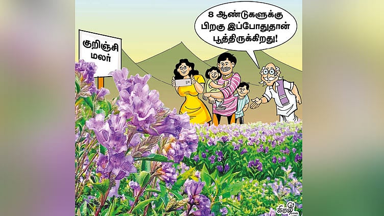 முன்பே பூத்த நீலகிரி குறிஞ்சி மலர்க்கூட்டம்