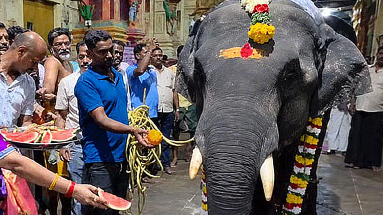 ராமேஸ்வரம் கோவிலுக்கு புதிய யானை: அசாமில் இருந்து வரவழைப்பு