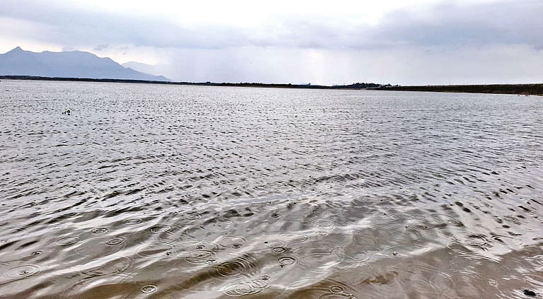 வைகை அணை நீர்மட்டம் 42 அடியாக உயர்வு