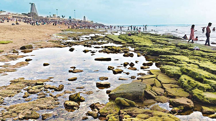திருச்செந்தூரில் திடீரென உள்வாங்கிய கடல்