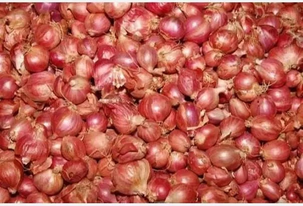 நெல்லையில் சின்ன வெங்காயம் விலை கிடுகிடு உயர்வு: இல்லத்தரசிகள் அதிர்ச்சி