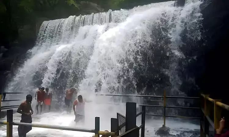 சுருளி அருவியில் குளிக்க சுற்றுலா பயணிகளுக்கு அனுமதி...!