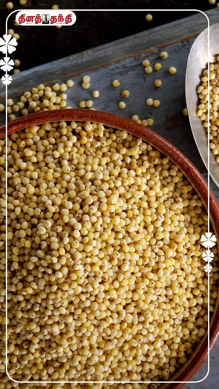 சாதாரணமாக கிடைக்கும் சத்துக்கள் அல்ல..சாமையில் கிடைப்பது..! Nutrients ...