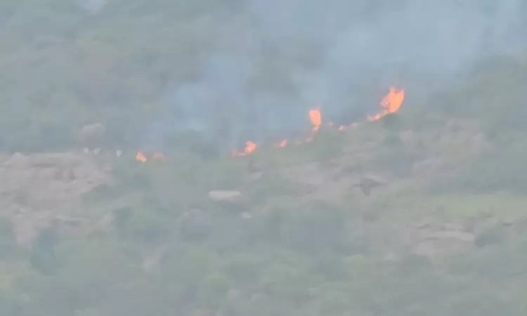திருவண்ணாமலை: தீபமலையில் தீ விபத்து
