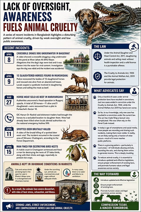 The infographic image has been created with the help of AI