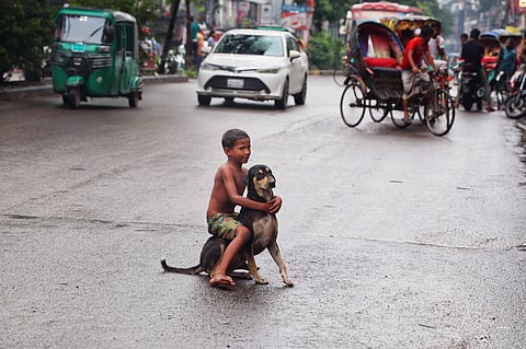 A child plays with his dog companion near Shahbagh in the capital. The photo was taken recently. Recent attempts to relocate community dogs have been fiercely protested by rights activists in the capital.
