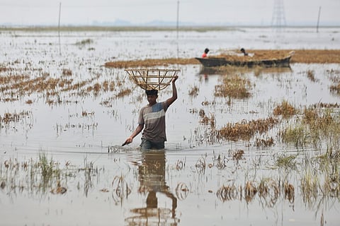 A farmer working in a flooded crop field in Kishoreganj in May 2026 