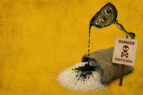The ‘poisoned chalice’ of cheap Pakistani rice
