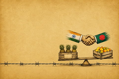 The ‘seasonal ceasefire’ through a crate of mangoes
