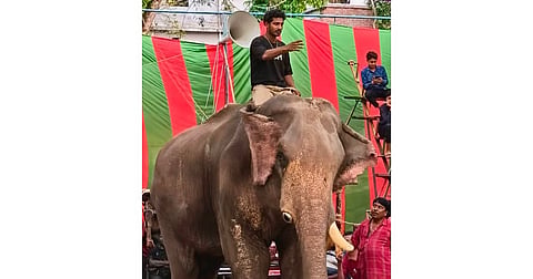 The elephant with a mahout mounted on its back.