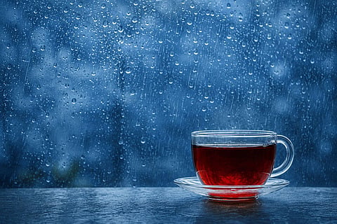 An evening brew as the world disappears behind a curtain of rain.