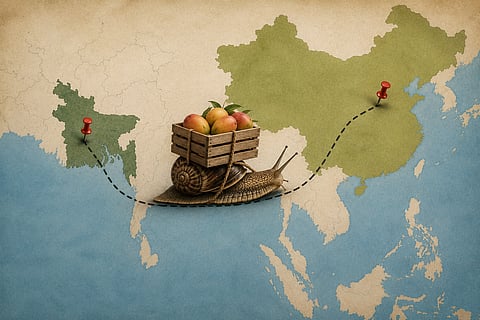 Aspiration of exporting mangoes to China remained stuck in paper and in statement only