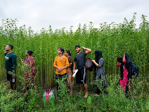 People whom BGB says were stopped during a BSF push-in attempt at the Kushtia border on Friday.