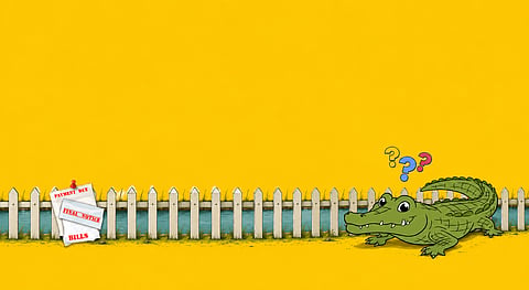 The crocodile farm has become entangled in one of Bangladesh's largest financial scandals
