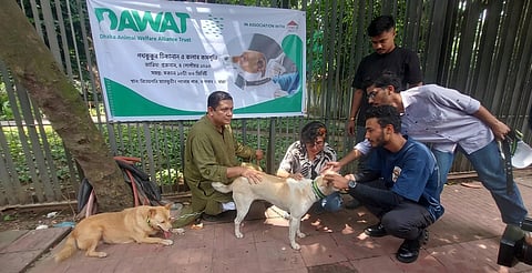 The programme was inaugurated at Justice Shahabuddin Ahmed Park in Gulshan on September 4, 2026.