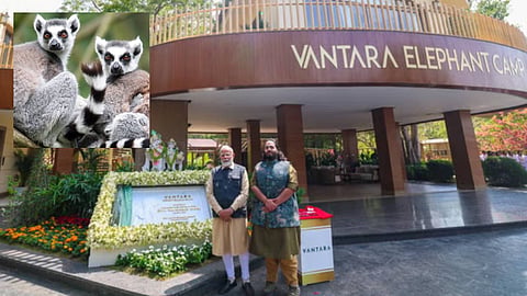 Photo shows Narendra Modi posing with Anant Ambani after inaugurating Vantara in Jamnagar, Gujarat, on 4 March 2025 