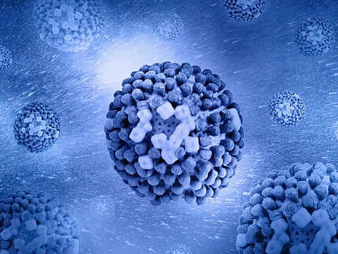 Image represents measles bacteria