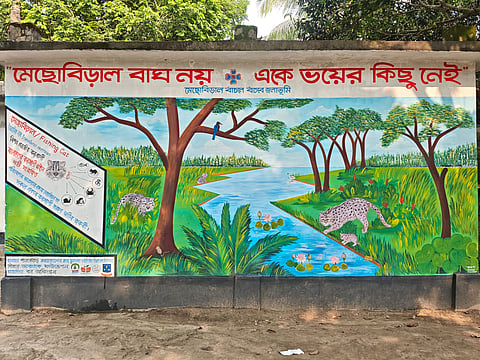 Notice plastered on wall in a village in Chuadanga saying there is nothing to be scared of wild cat known as Mecho Biral