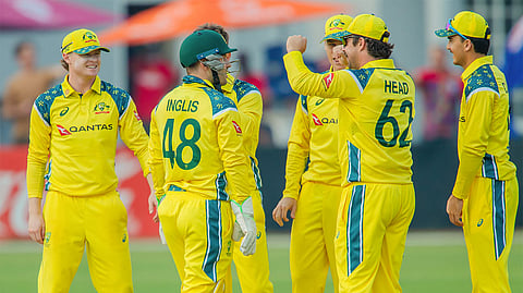 Australian players celebrate a wicket during their second ODI against Zimbabwe in Harare on Friday.