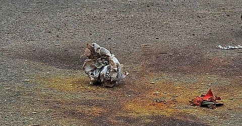 Crude bombs blast in several areas of Dhaka