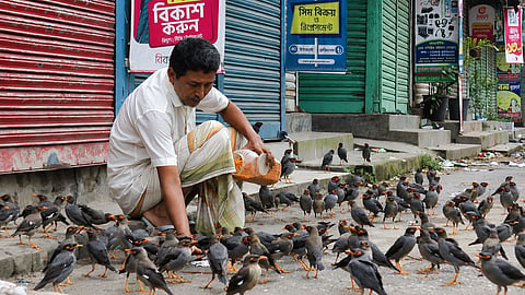 Buddha Pramanik, a 64-year-old vegetable wholesaler, has been feeding birds for free for a decade 