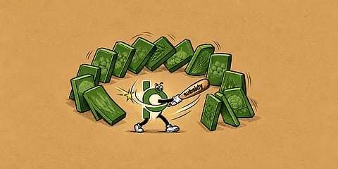 A fuel subsidy is not a real subsidy 
