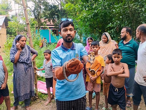 Wildlife rescuer Robi Costa holds two snakes after rescuing them from a residential area in Habiganj