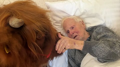 Christopher Cooksey has lost much of his vision, but was able to feel the cow in his front room.