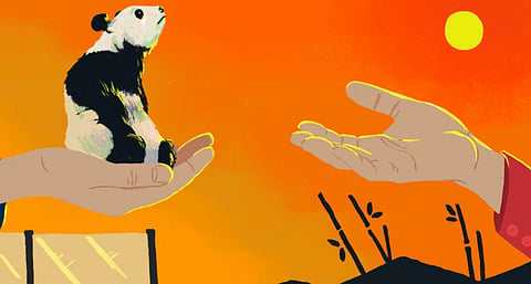 Panda diplomacy has long been promoted as symbols of friendship