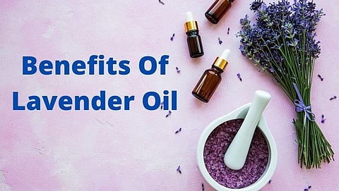 Lavender Oil is good for skin and hair health