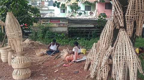 Demand for bamboo narkasur in Goa
