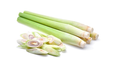 lemongrass 