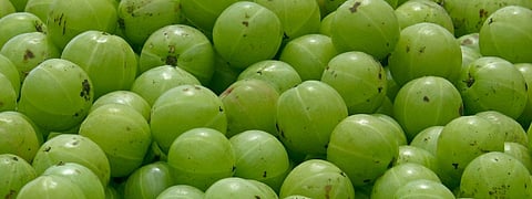 Amla Benefits