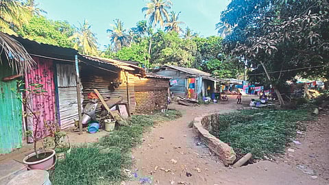 Panjim News