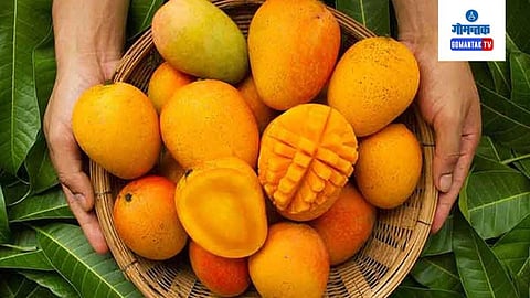 Mango
