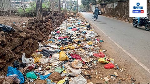 BicholimGarbage On Road