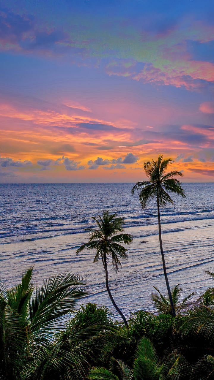 October मध्ये का करावी Goa Trip? जाणून घ्या खास कारणे..|Top reasons to ...