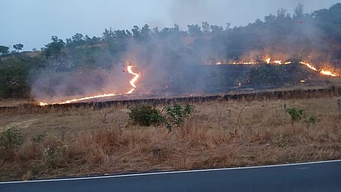 Goa Live News: वेळगे येथे डोंगराला आग; अग्निशमन दलाकडून आग विझवण्याचे काम सुरु