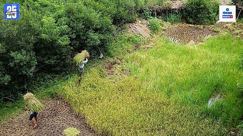 Puran Sheti Goa