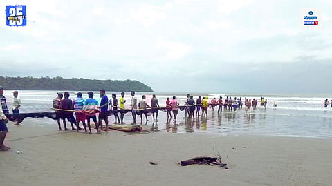 Goa rapan fishing